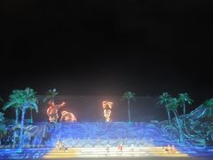 -三亚红色娘子军演艺公园景区