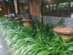 -青城甲(青城山店)