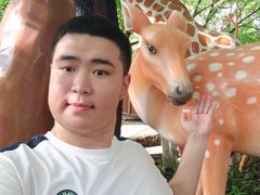 -晓港公园