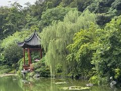 -云溪植物园