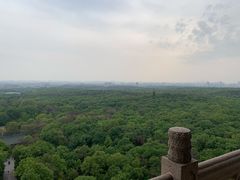 -灵谷景区
