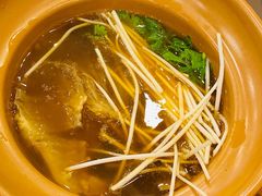 -大中鱼翅 Taitong Shark Fin