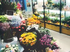 -妃比花艺(光启城时尚购物中心店)