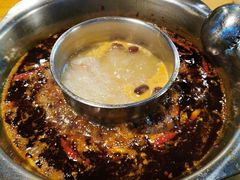 -金鼎雪山牦牛杂火锅(理县总店)