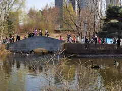 -长白岛森林公园