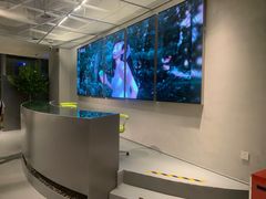 -丘大叔柠檬茶(来福士广场分店)