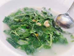 石斛苗-天瑞轩·粤菜餐厅