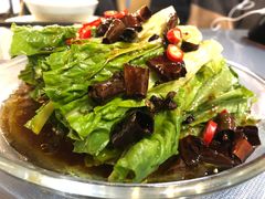 凉拌油麦菜-鲜塘宴·千岛湖大鲫鱼(南湖店)