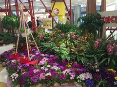 -凯德广场(学府店)