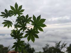 -五女山景区