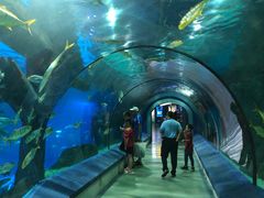 -福州罗源湾海洋世界旅游区