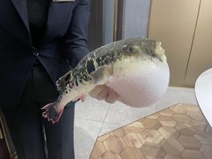 -鲐赏河豚(长寿店)