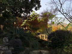 -杭州半山国家森林公园