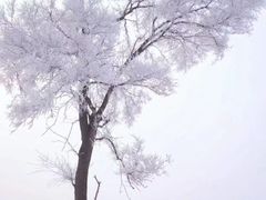 -长白山华美胜地滑雪场