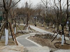 -西海子公园