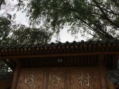 -白洋淀景区