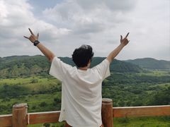 -御道口草原森林风景区