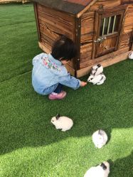 -萌宠亲子动物乐园(槐房万达店)