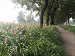 -汉长安城未央宫国家考古遗址公园