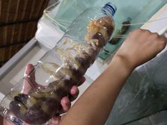 -海盗餐厅