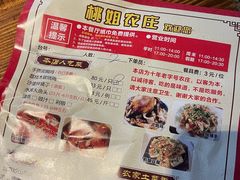 -桃姐农庄老字号(从化温泉店)