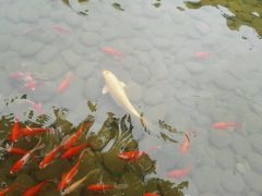 -Club Med地中海俱乐部·桂林度假村