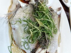 -凤厨顺德水乡凤味馆(大良锦龙路店)