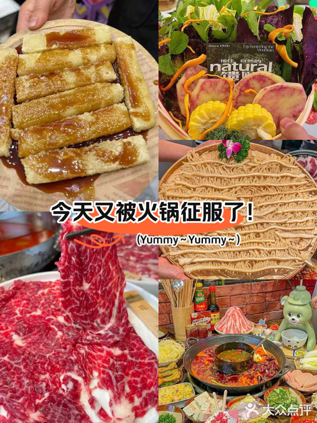 舍下火锅：味蕾的奇幻冒险，一口就爱到疯狂！