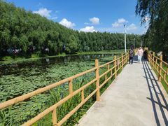 -白渔泡湿地公园