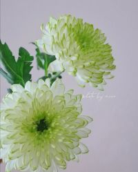 -蕾特恩专业祛痘·皮肤管理
