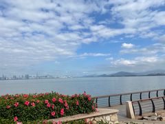-深圳湾公园(南山区)