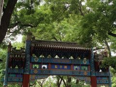 -北京国子监胡同
