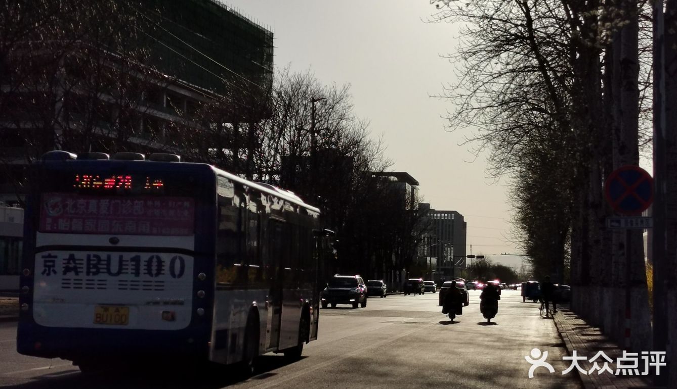 【裕美路 金灿灿的春天】