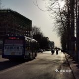 【裕美路 金灿灿的春天】