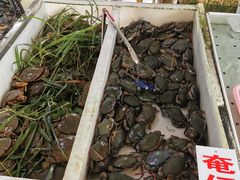 -南沙十九涌渔人码头-南门