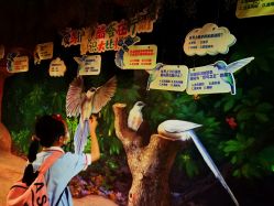 -酷嗒动物文化乐园(cutezoo西溪乐天城店)