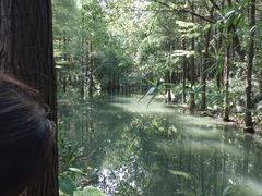 -尚湖风景区