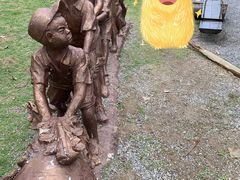 -合肥滨湖国家森林公园