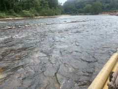 -九曲溪竹筏码头