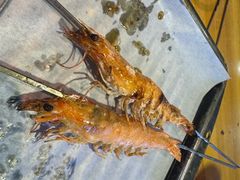 -四禧精酿铜锅涮肉·烧烤工场(大明湖店)