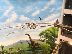 -辽宁古生物博物馆