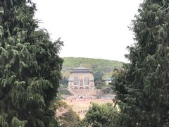 -武汉大学-樱园
