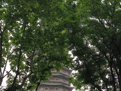 -红梅公园