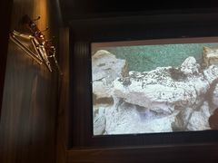 -君悦会影院足道·SPA•推拿(江桥店)