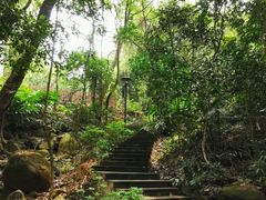 -天鹿湖森林公园