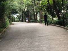 -小南山公园