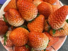 -曼格蒸汽活海鲜·榴莲自助(皇庭广场店)