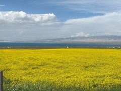 -青海湖国家重点风景名胜区