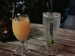 -Sirena海妖日咖夜酒