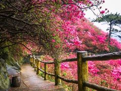 -木兰云雾山